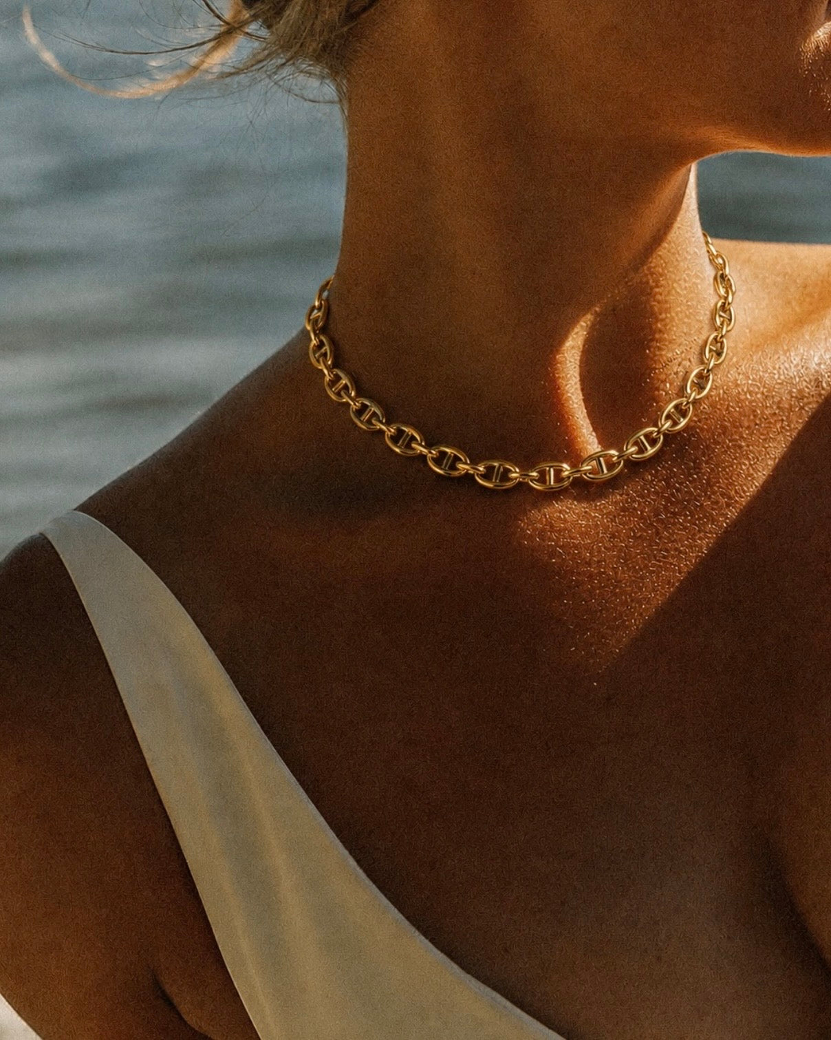 Collana Andromeda